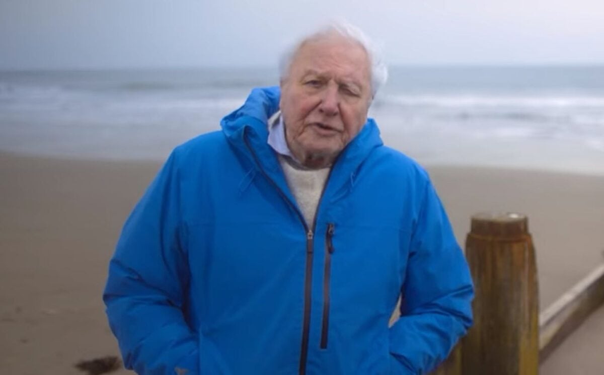 Photo shows David Attenborough standing on a beach with the ocean behind him
