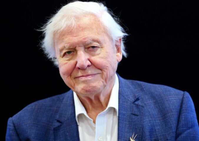 Photo shows Sir David Attenborough standing against a black background