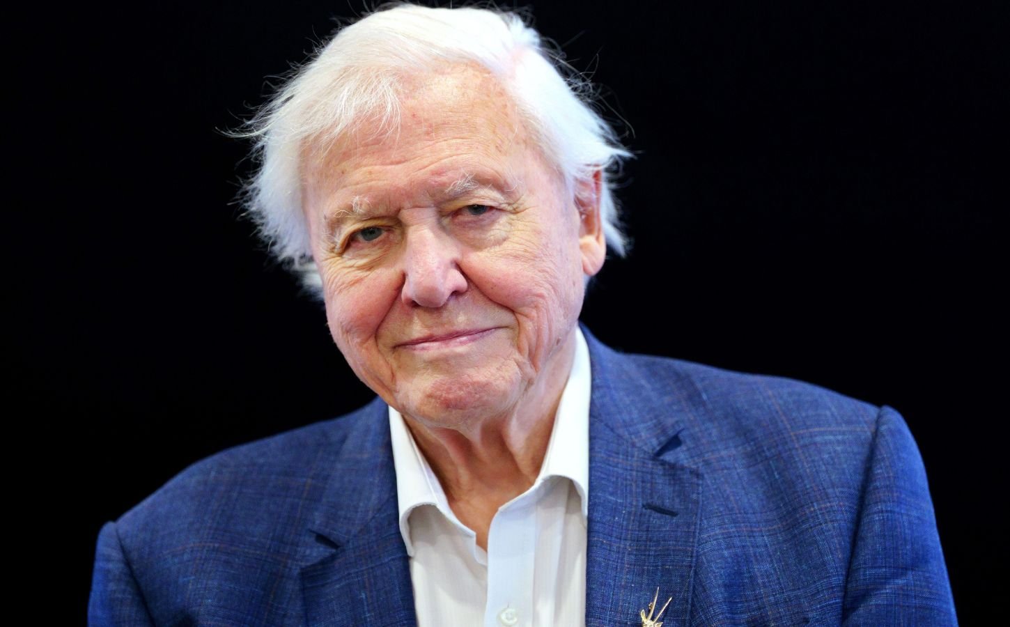 Photo shows Sir David Attenborough standing against a black background