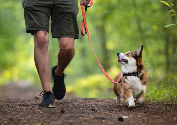 Photo shows a man from the waist down, walking a dog on a leash through the woods