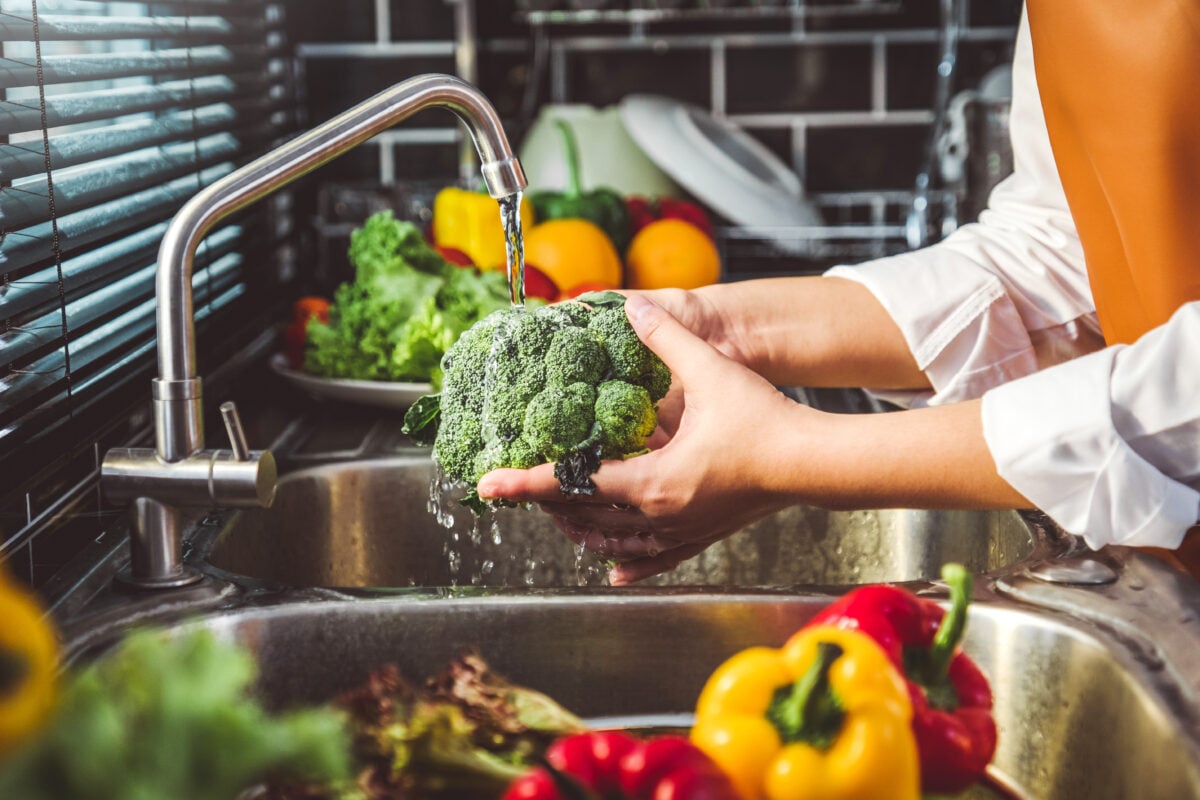 Plant-based diets have a range of likely health benefits, including a reduction in VTE risk