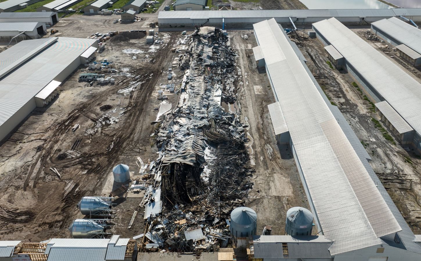 A burned down factory farm in rubble after a barn fire
