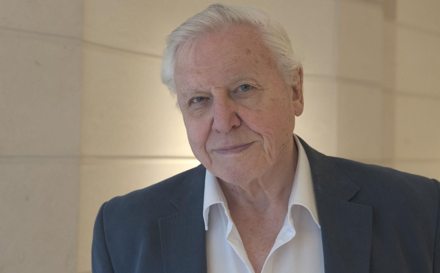 David Attenborough wearing a white shirt and navy jacket looking at the camera