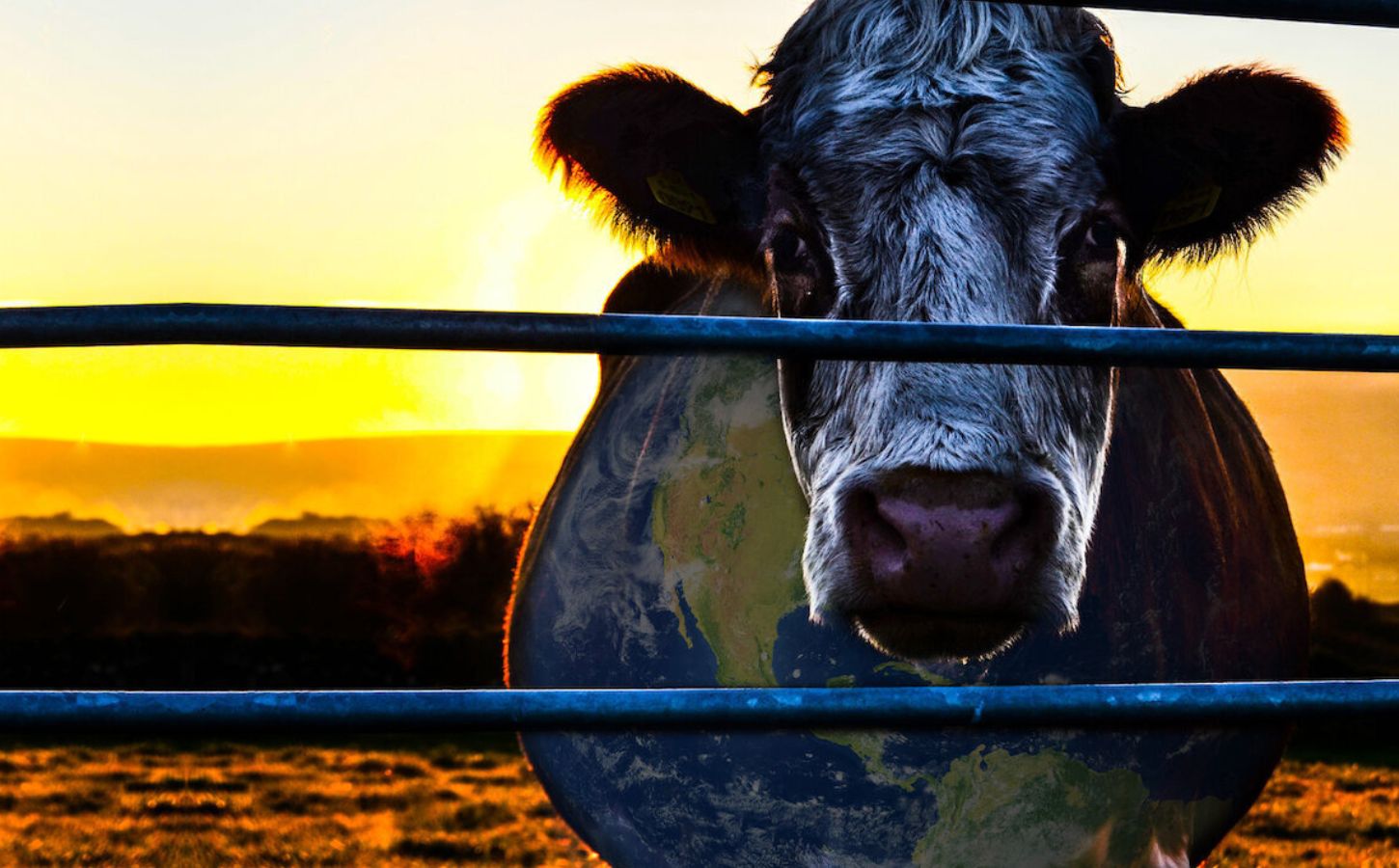 Poster for Cowspiracy, which has been named the most effective vegan documentary in a recent study