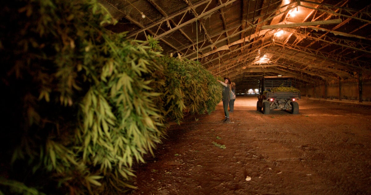 The Halley family in their former animal farm, which now farms hemp