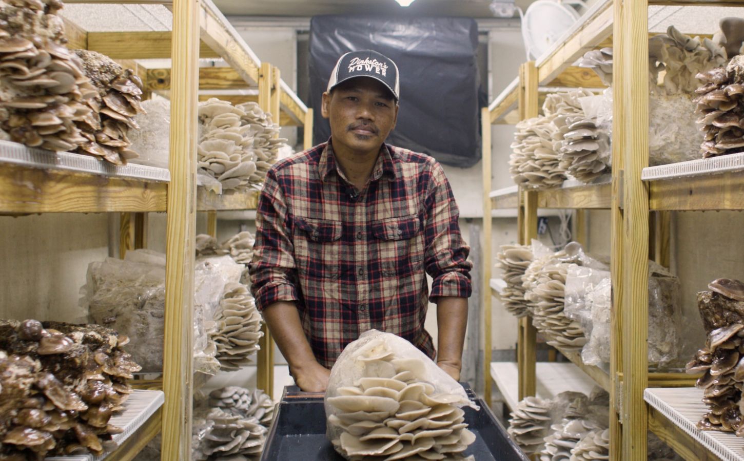 A farmer who transfarmed his farm to be vegan