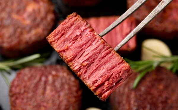 Photo shows a piece of plant-based meat on a fork