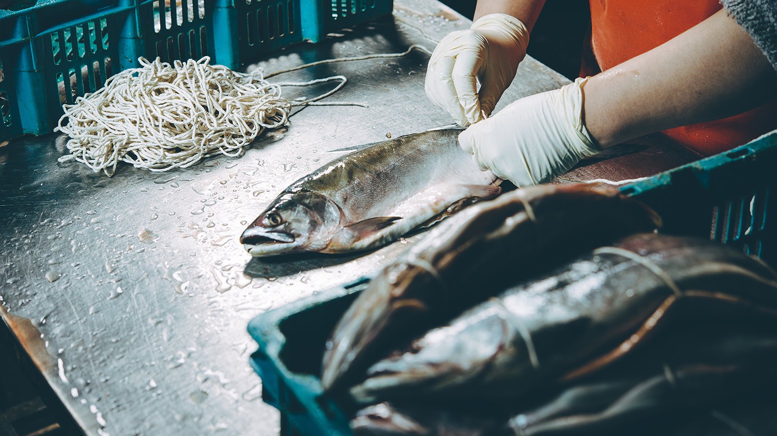 Oceana Says 'Abstaining From Seafood Is Not A Realistic Choice'- Seaspiracy Directors Respond