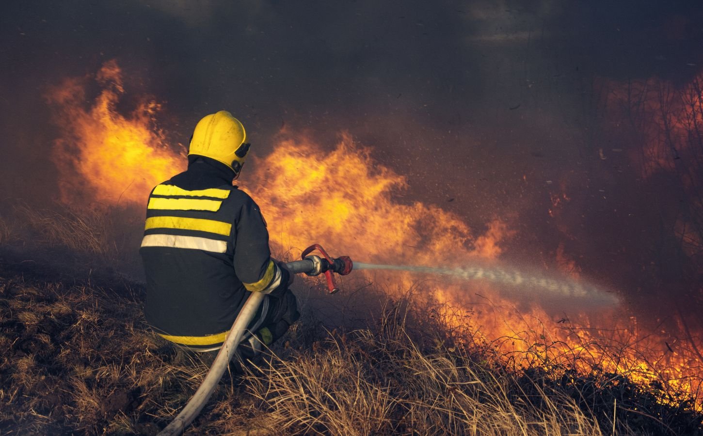 Photo shows a firefighting using a hose to fight a wildfire