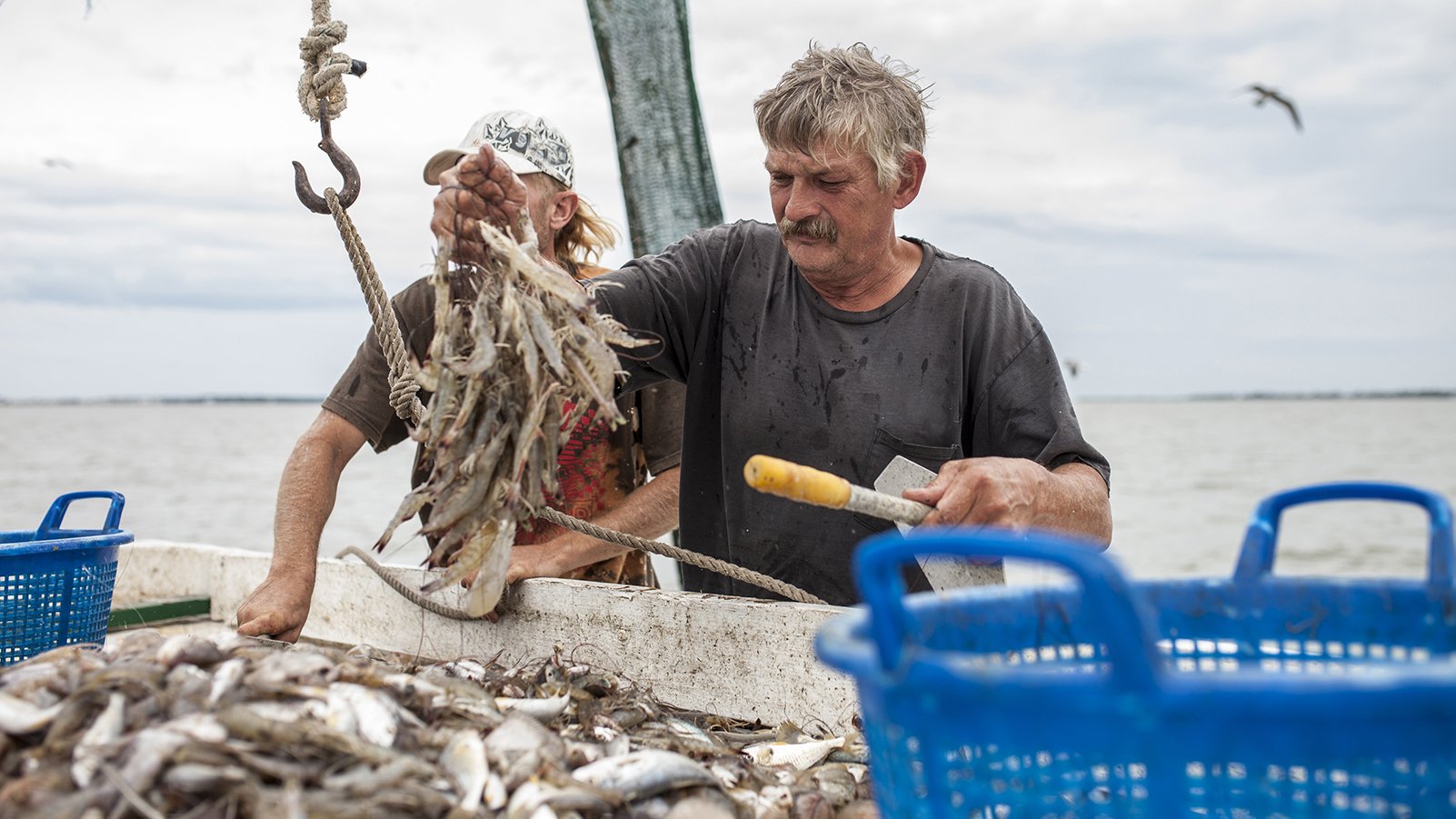 Will The Oceans Be Empty By 2048? Seaspiracy Responds