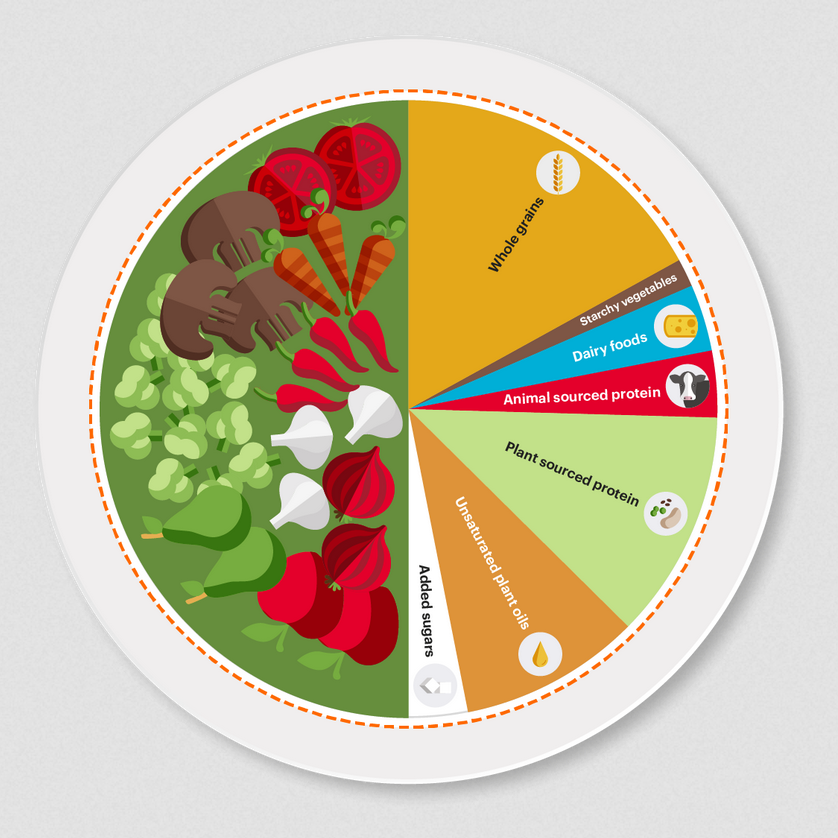 Photo shows an illustration used within the EAT-Lancet Report that shows what a well-balanced diet could look like